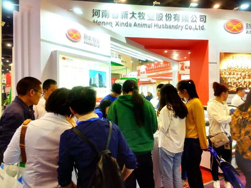 新大智道亮相中原畜牧業交易博覽會，信息咨詢服務引領養豬行業新變革